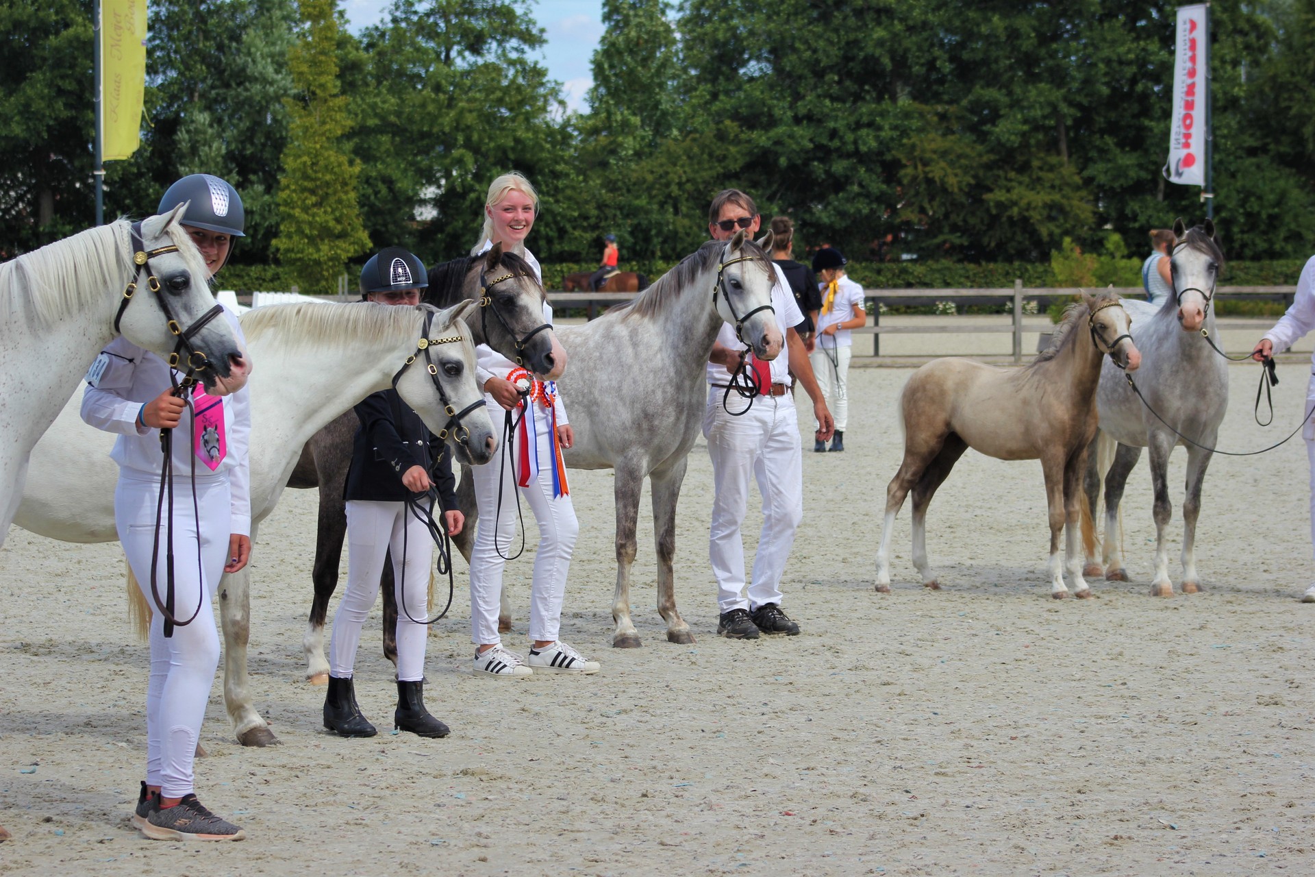 Zes Lakeway pony's in Tolbert