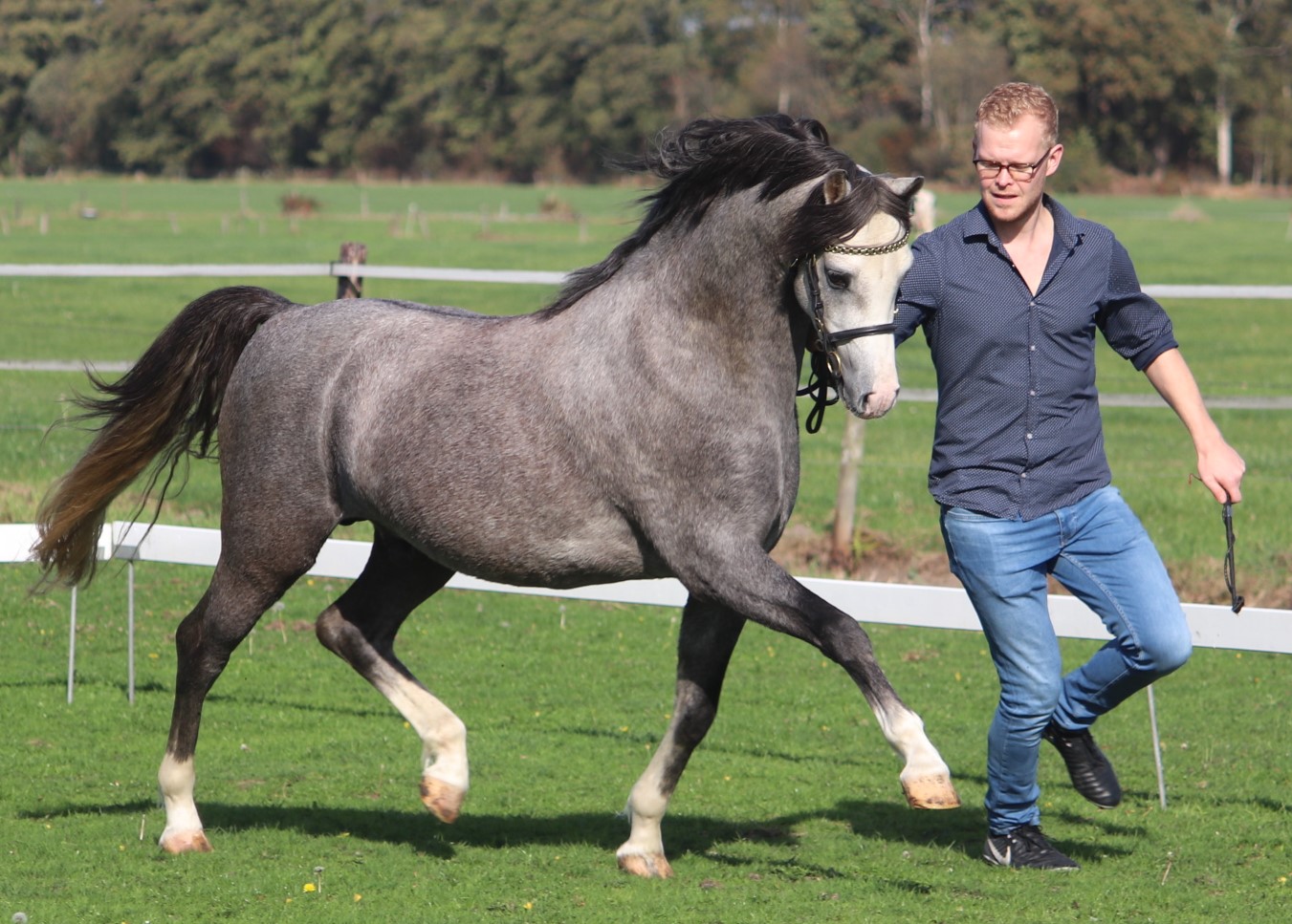 Lakeway's Kensington