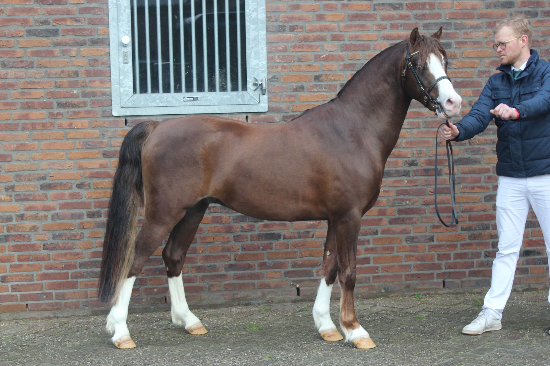 Lakeway's Stanford (2024)