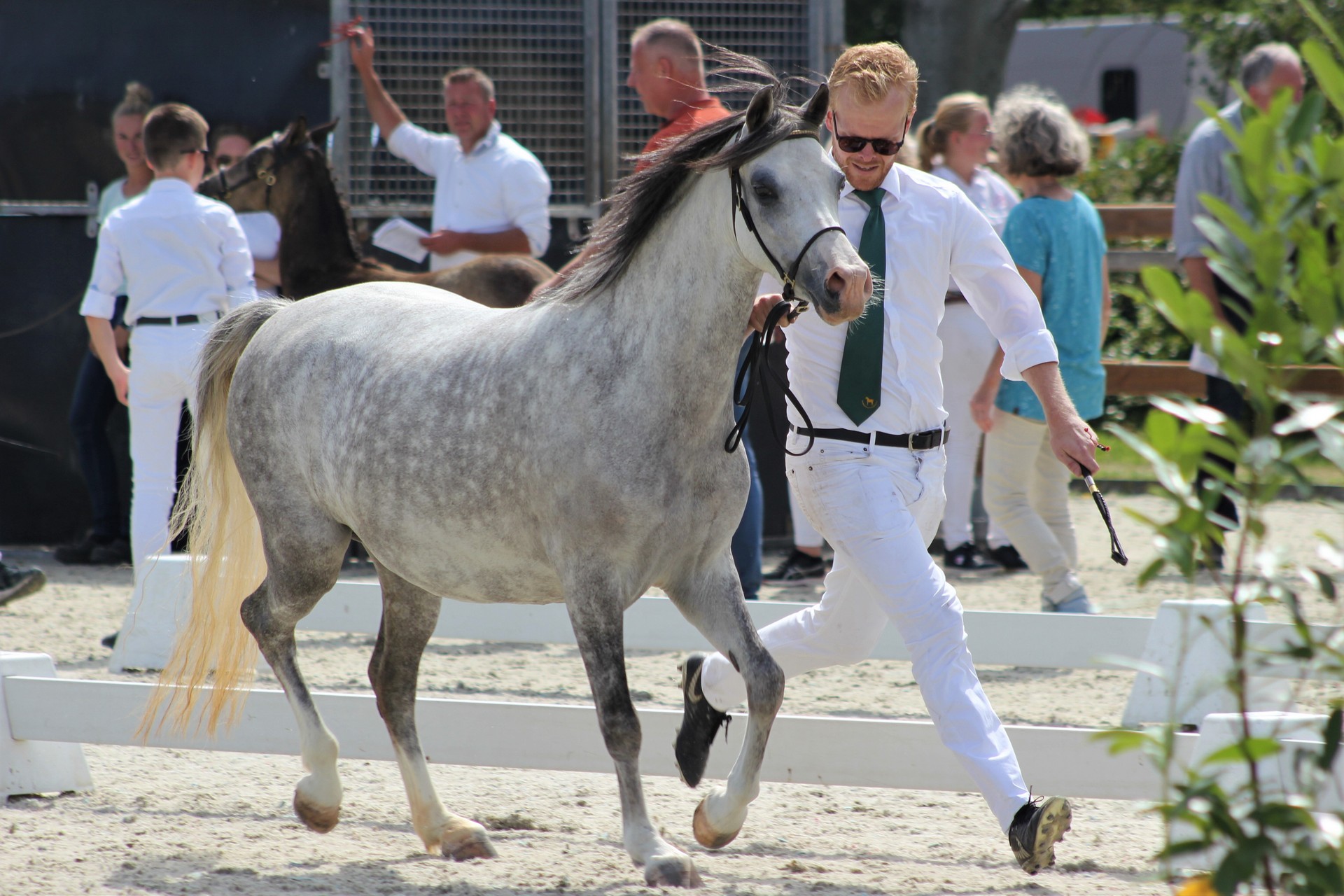 Lakeway's Maybelline