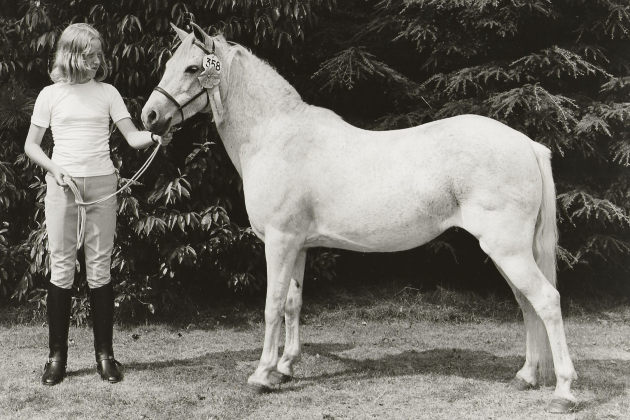 Trefescob Silver Heather (in 1975)